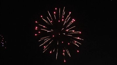 #8374 节日礼花 2.0" 6