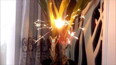 #8399 Sparklers 450mm