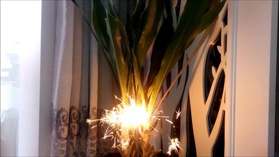 #8398 Sparklers 650mm