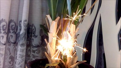 #8401 Sparklers 250mm
