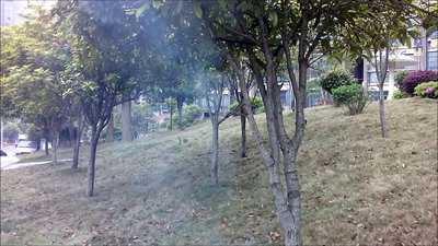 #8403 Pétards Magic whip