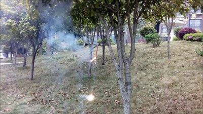 #8404 Pétards Magic whip