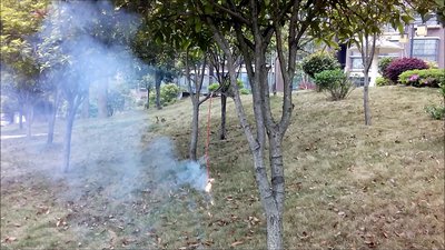 #8405 Pétards Magic whip