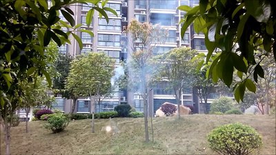 #8409 Pétards Magic whip