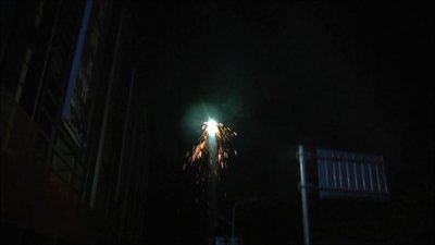 #8440 Sunflower(Big)