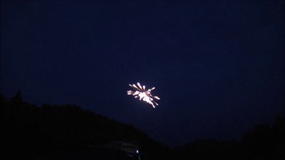 #8473 节日礼花 2.0" 6