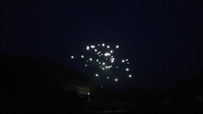 #8473 节日礼花 2.0" 6