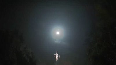 #8581 Tir simple 1.0"