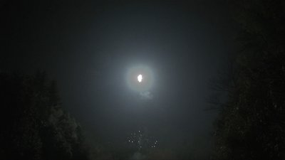 #8582 Tir simple 1.0"