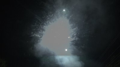 #7690 盆花0.8 100发数