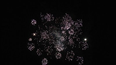 #8207 Module Cakes 1.1 49 shots