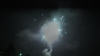 #7686 Tortas 0.8 64 tiros