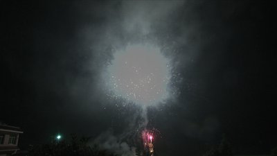 #7690 盆花0.8 100发数