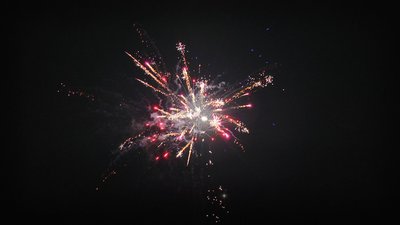 #7437 Cakes 1.0 96 shots