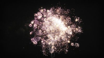 #8273 Cakes 22x0.8"/37x1.0"/24x1.2" 83 shots