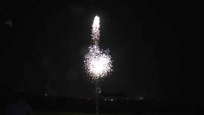 #8583 Tir simple 1.2"