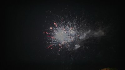 #7686 Tortas 0.8 64 tiros