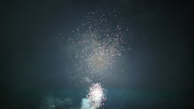 #7690 盆花0.8 100发数