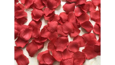 #17128 Party Popper 60.0cm d5.0