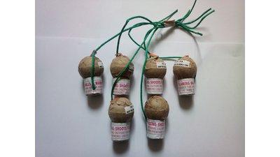 #8375 节日礼花 1.5" 6