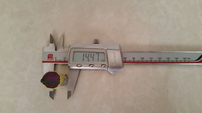 #6482 FIRECRACKERS Flower blossom with thunder