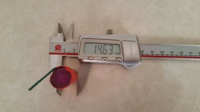 #6480 FIRECRACKERS Three color with flower blossom