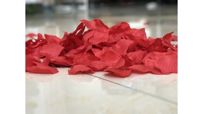 #17128 Party Popper 60.0cm d5.0