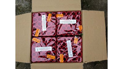 #20844 Cakes 1.0 100 shots