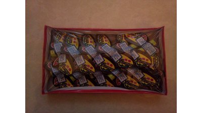 #8438 Spring butterfly(Middle)