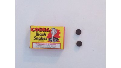 #8230 Small black snake, mini shit