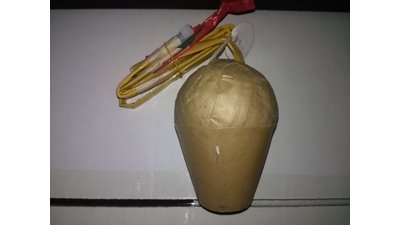 #17503 Shell 6.0"