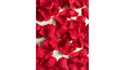 #17128 Party Popper 60.0cm d5.0