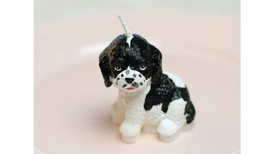 #14455 Dog Candle