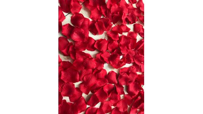 #17128 Party Popper 60.0cm d5.0