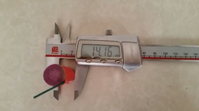 #6481 FIRECRACKERS Flower blossom with crackling