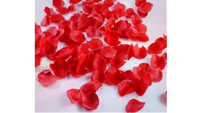 #17128 Party Popper 60.0cm d5.0