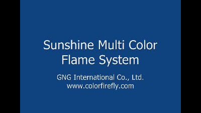 #2756 Sunshine Multi Colored Flame System