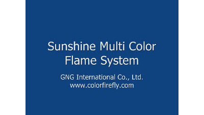 #2756 Sunshine Multi Colored Flame System